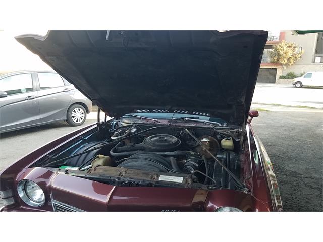 1973 Chevrolet Monte Carlo (CC-1431037) for sale in North Hollywood, California