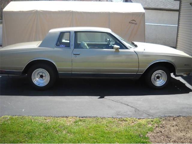 1981 Chevrolet Monte Carlo (CC-1431439) for sale in Cadillac, Michigan