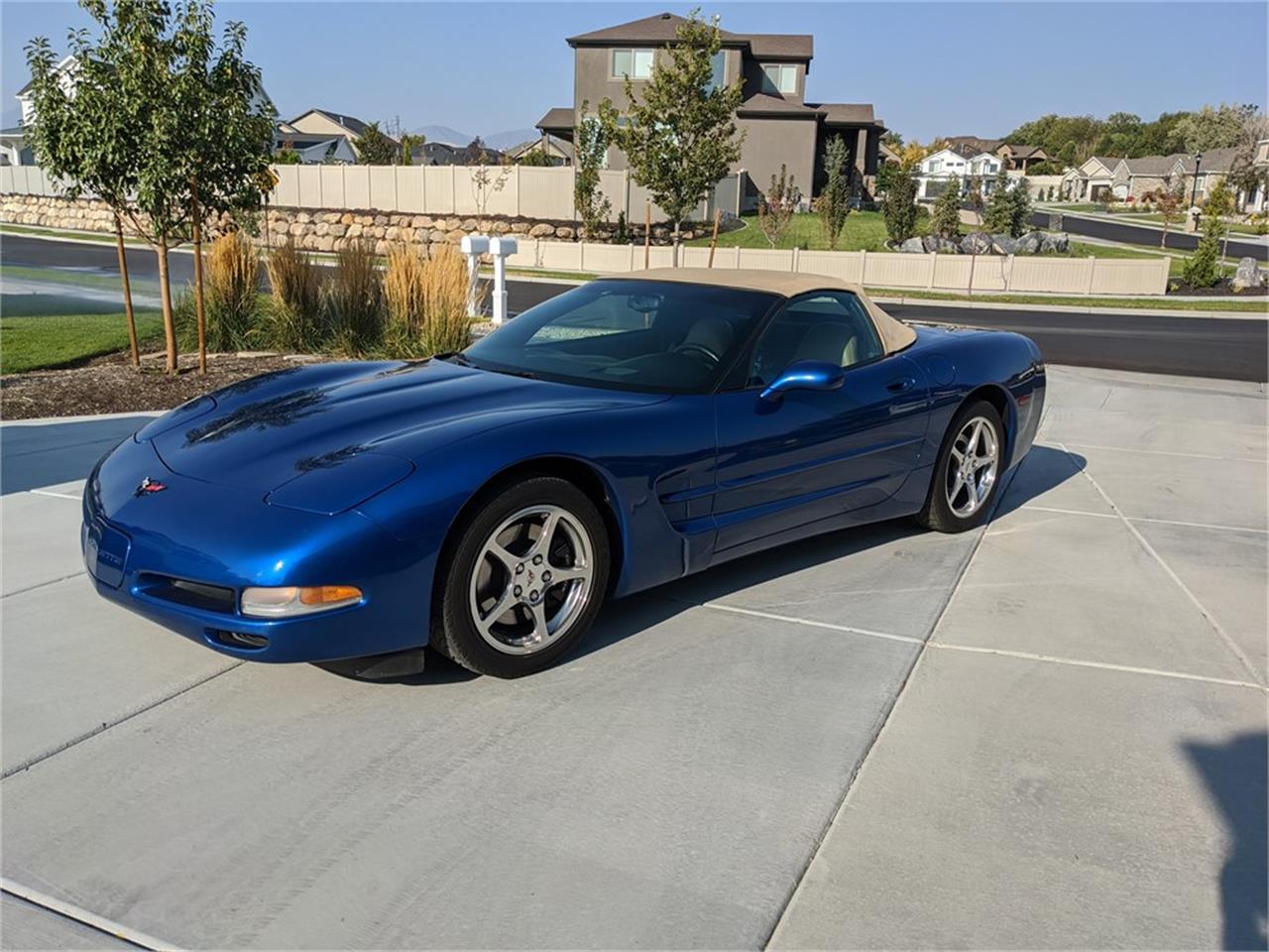 2002 Chevrolet Corvette for Sale | ClassicCars.com | CC-1431769