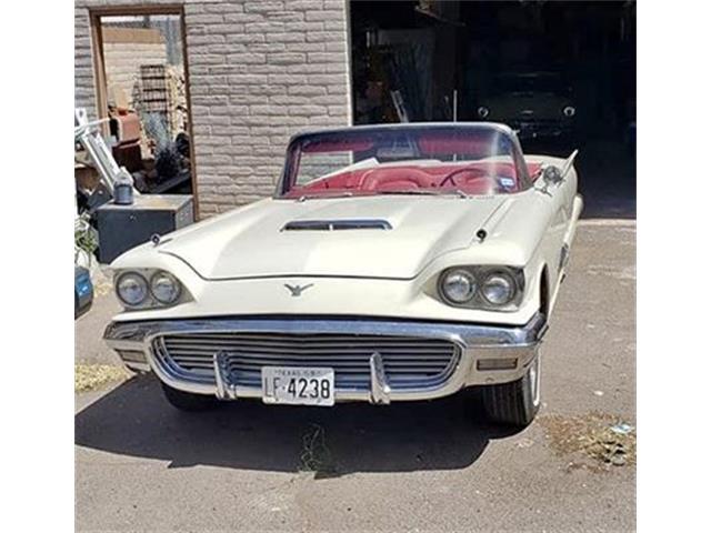1959 Ford Thunderbird (CC-1432197) for sale in Cadillac, Michigan