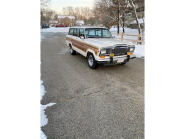1984 Jeep Grand Wagoneer (CC-1430283) for sale in Tampa, Florida