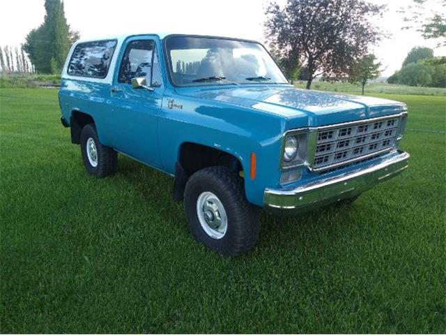 1977 Chevrolet Blazer (CC-1433199) for sale in Cadillac, Michigan