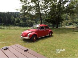 1971 Volkswagen Beetle (CC-1434851) for sale in Cadillac, Michigan