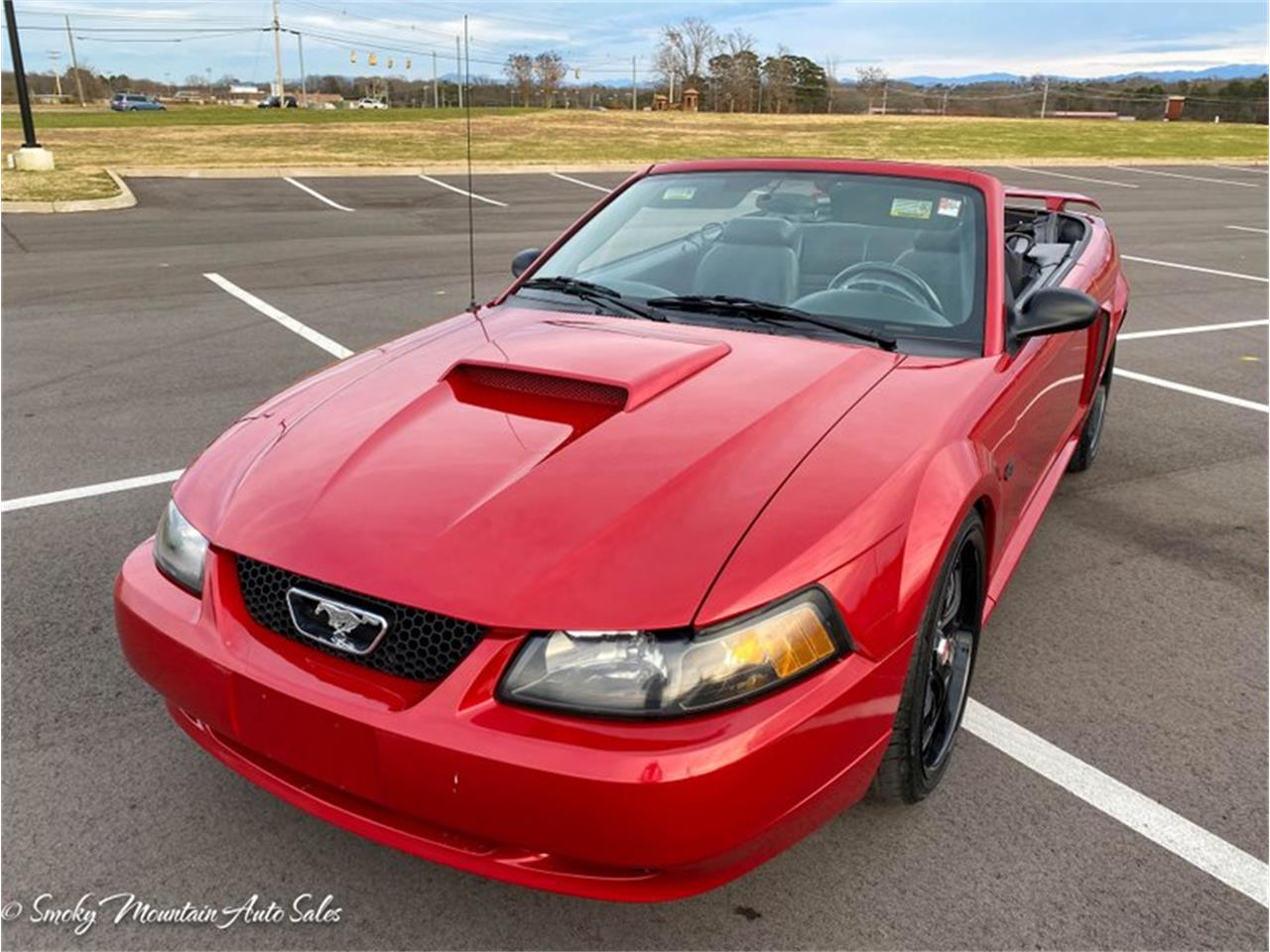 2001 Ford Mustang For Sale Cc 1435529