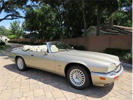 1995 Jaguar XJS (CC-1436466) for sale in Lakeland, Florida