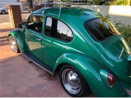1969 Volkswagen Beetle (CC-1437458) for sale in Cadillac, Michigan