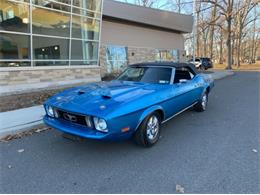 1973 Ford Mustang (CC-1437492) for sale in Cadillac, Michigan