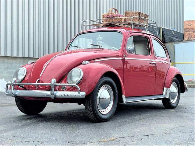 1964 Volkswagen Beetle (CC-1437744) for sale in Alsip, Illinois