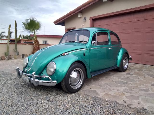 1966 Volkswagen Beetle (CC-1438599) for sale in San Ysidro, California