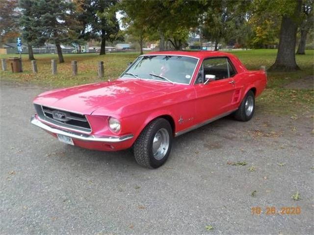 1967 Ford Mustang (CC-1430868) for sale in Cadillac, Michigan