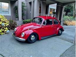 1968 Volkswagen Beetle (CC-1438783) for sale in Seattle, Washington