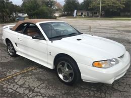 1997 Ford Mustang SVT Cobra (CC-1439164) for sale in Lakeland, Florida