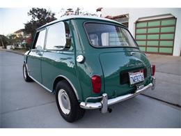 1967 Austin Mini Cooper for Sale