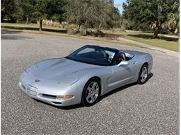 1998 Chevrolet Corvette (CC-1439675) for sale in Clearwater, Florida