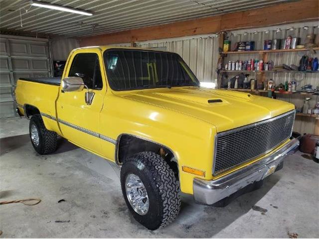 1985 Chevrolet Pickup (CC-1441615) for sale in Cadillac, Michigan