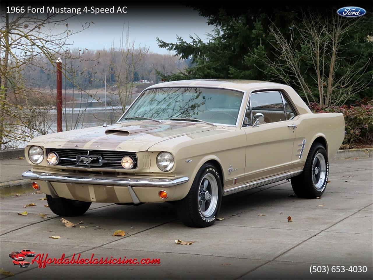 1966 Ford Mustang For Sale 