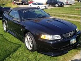 2000 Ford Mustang (Roush) (CC-1443504) for sale in WATERLOO, Iowa
