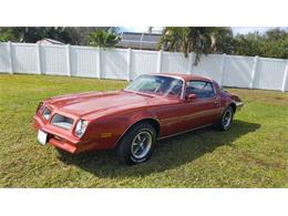 1976 Pontiac Firebird (CC-1444078) for sale in Lakeland, Florida