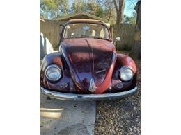 1967 Volkswagen Beetle (CC-1446351) for sale in Cadillac, Michigan