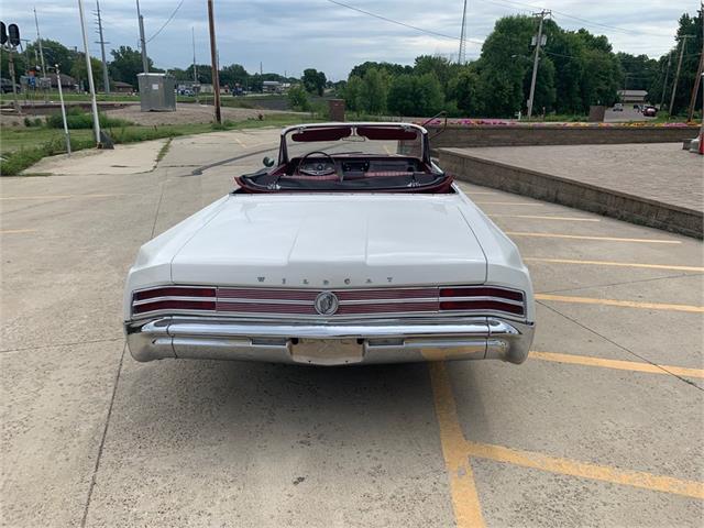 1964 Buick Wildcat (CC-1446646) for sale in Annandale, Minnesota