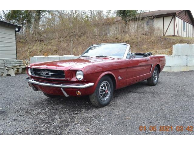 1965 Ford Mustang (CC-1440705) for sale in Cadillac, Michigan