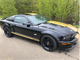 2006 Shelby Mustang (CC-1447074) for sale in EDMONTON, Alberta