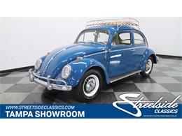 1964 Volkswagen Beetle (CC-1447137) for sale in Lutz, Florida