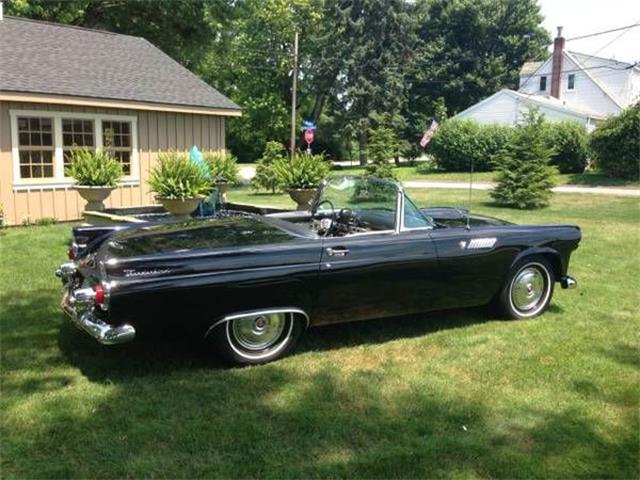 1955 Ford Thunderbird (CC-1447237) for sale in Cadillac, Michigan