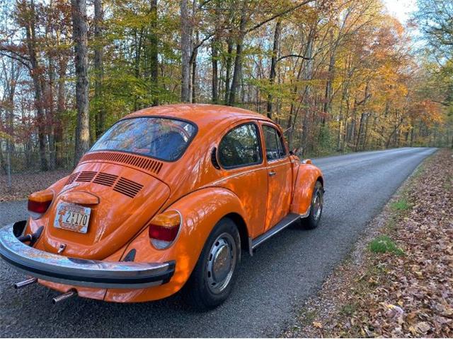 1974 Volkswagen Beetle (CC-1440733) for sale in Cadillac, Michigan