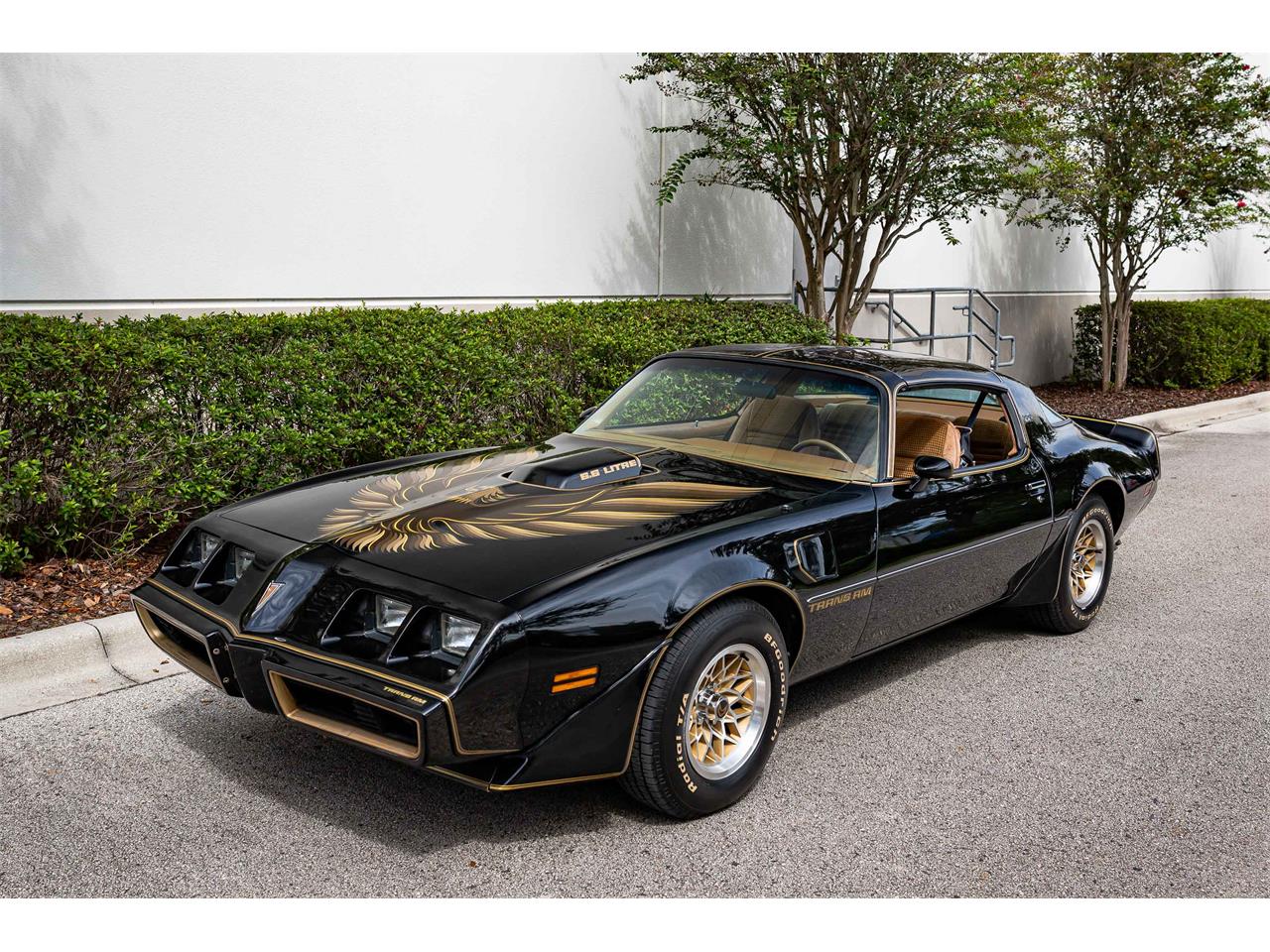 1979 Pontiac Firebird Trans Am for Sale | ClassicCars.com | CC-1447685