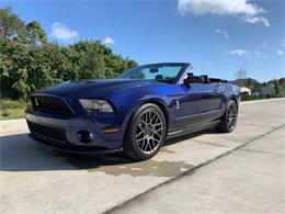 2011 Shelby GT500 (CC-1447694) for sale in Lakeland, Florida