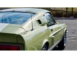 1967 Shelby GT500 (CC-1447981) for sale in Phoenix, Arizona