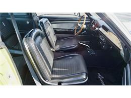 1967 Shelby GT500 (CC-1447981) for sale in Phoenix, Arizona