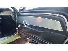 1967 Shelby GT500 (CC-1447981) for sale in Phoenix, Arizona