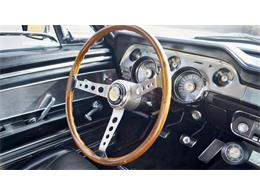 1967 Shelby GT500 (CC-1447981) for sale in Phoenix, Arizona