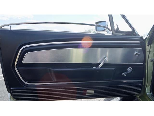 1967 Shelby GT500 (CC-1447981) for sale in Phoenix, Arizona