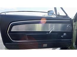 1967 Shelby GT500 (CC-1447981) for sale in Phoenix, Arizona