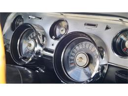 1967 Shelby GT500 (CC-1447981) for sale in Phoenix, Arizona