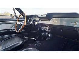 1967 Shelby GT500 (CC-1447981) for sale in Phoenix, Arizona