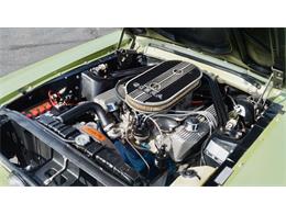 1967 Shelby GT500 (CC-1447981) for sale in Phoenix, Arizona