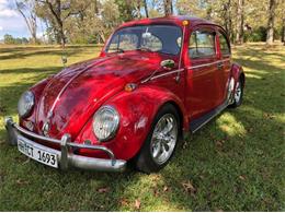 1966 Volkswagen Beetle (CC-1448222) for sale in Cadillac, Michigan