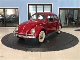 1964 Volkswagen Beetle (CC-1448284) for sale in Palmetto, Florida