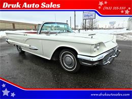 1959 Ford Thunderbird (CC-1449834) for sale in Ramsey, Minnesota