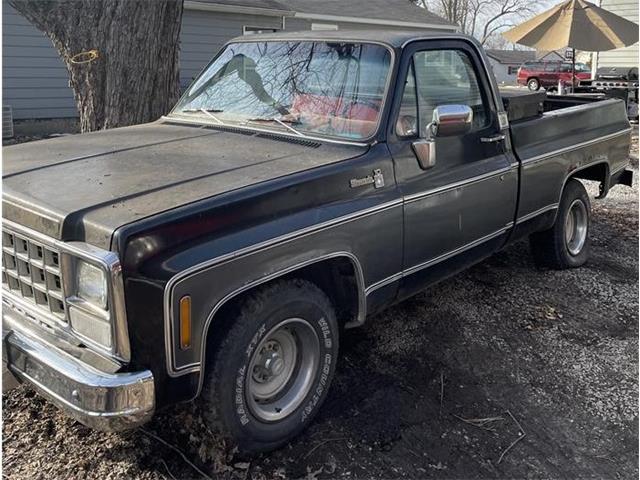1980 Chevrolet Pickup (CC-1451228) for sale in Brownsburg , Indiana