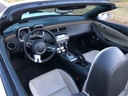 2011 Pontiac Firebird Trans Am (CC-1450134) for sale in Scottsdale, Arizona