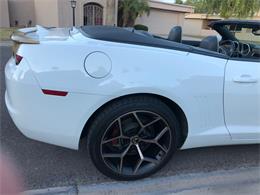 2011 Pontiac Firebird Trans Am (CC-1450134) for sale in Scottsdale, Arizona