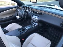 2011 Pontiac Firebird Trans Am (CC-1450134) for sale in Scottsdale, Arizona