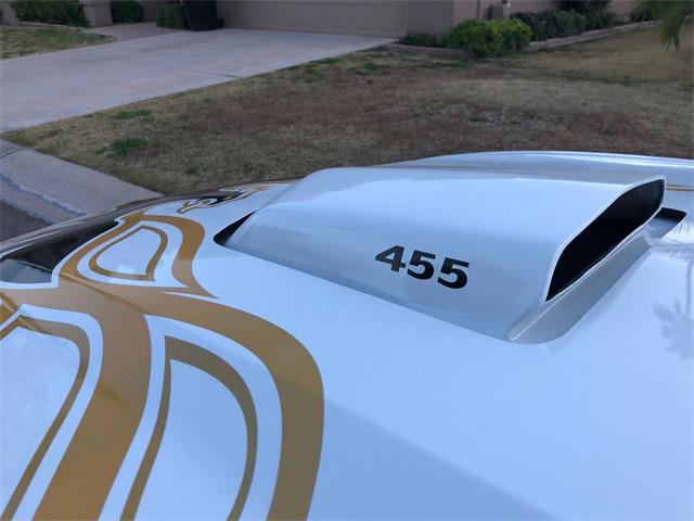 2011 Pontiac Firebird Trans Am (CC-1450134) for sale in Scottsdale, Arizona