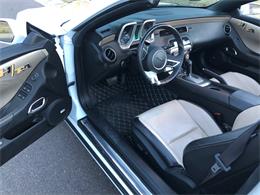 2011 Pontiac Firebird Trans Am (CC-1450134) for sale in Scottsdale, Arizona