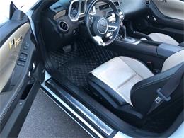 2011 Pontiac Firebird Trans Am (CC-1450134) for sale in Scottsdale, Arizona